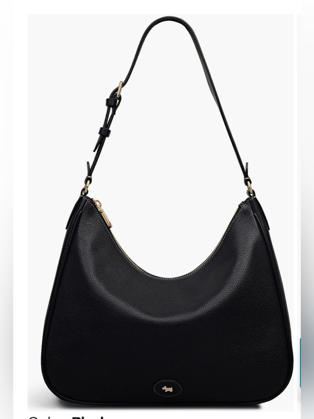 Radley London Heath Crescent LG Shoulder Bag.